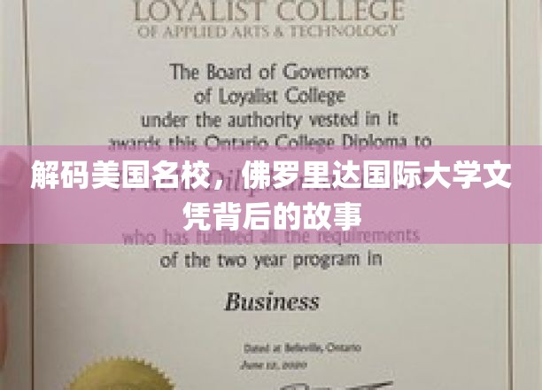 解码美国名校，佛罗里达国际大学文凭背后的故事