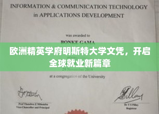 跨越欧洲精英殿堂，明斯特大学文凭，解锁全球职场新机遇