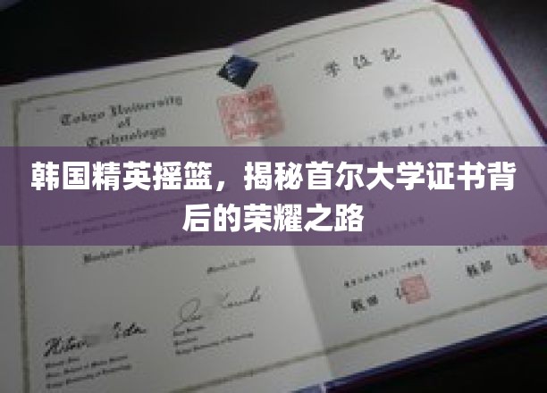 韩国精英摇篮，揭秘首尔大学证书背后的荣耀之路