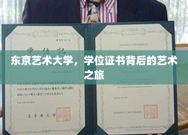 东京艺术大学，学位证书映照下的艺术征途