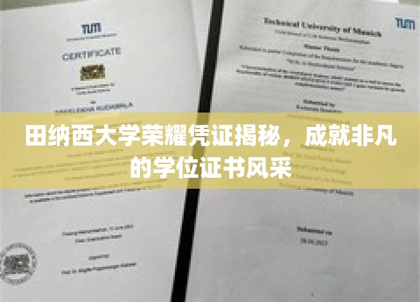田纳西大学荣耀凭证揭秘，成就非凡的学位证书风采