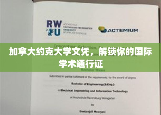 跨越国界，约克大学文凭助你畅行全球学术舞台