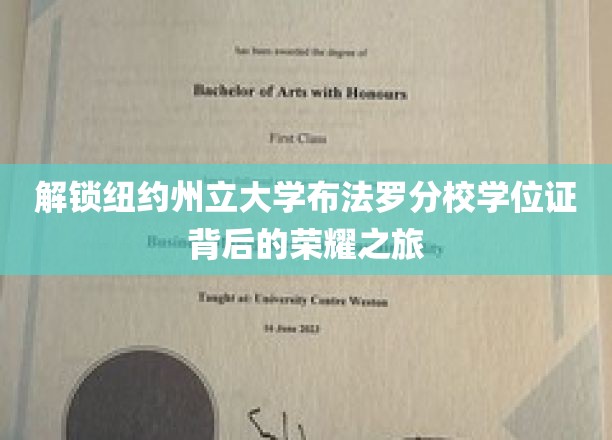 探寻纽约州立大学布法罗分校学位证的光辉历程