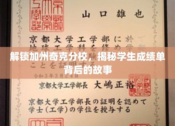 解锁加州奇克分校，揭秘学生成绩单背后的故事
