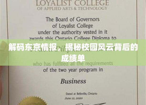 解码东京情报，揭示校园风云背后的成绩单
