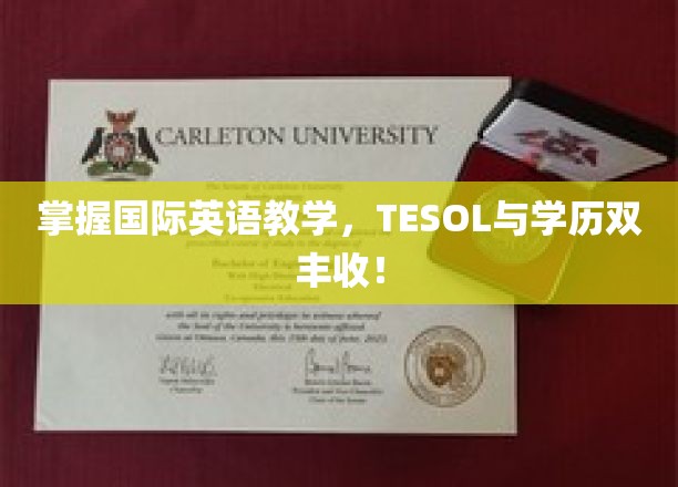 解锁国际英语教学金牌之路，TESOL证书助你学历职场双提升！