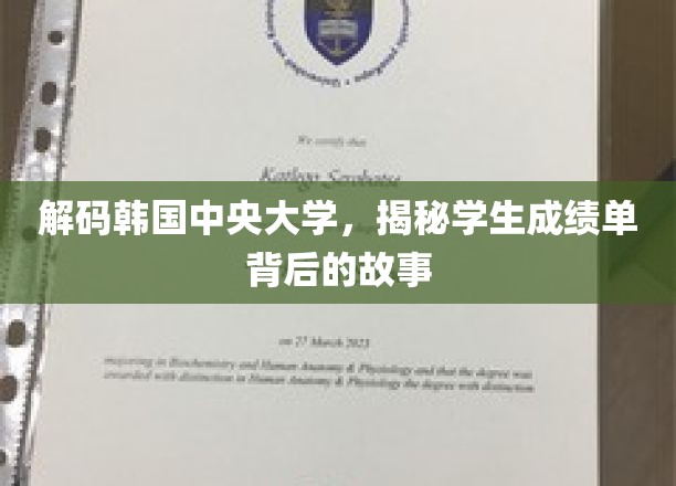 解码韩国中央大学，揭秘学生成绩单背后的故事