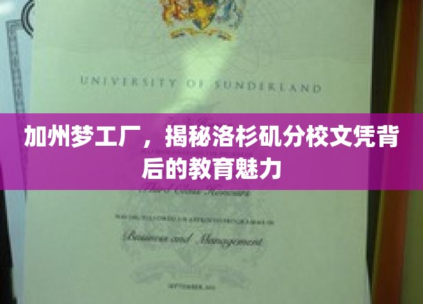 加州梦工厂，揭秘洛杉矶分校文凭背后的教育魅力