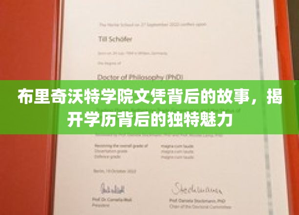 学历光环下的布里奇沃特之谜，探寻文凭背后的非凡魅力