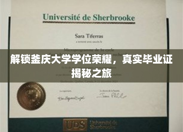 釜庆大学荣耀学位大揭秘，揭秘真实毕业证背后的故事