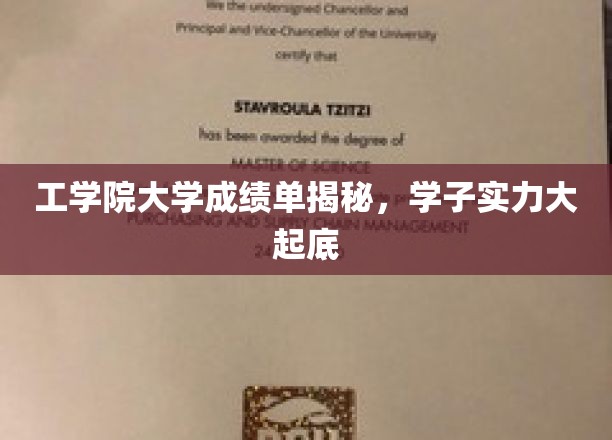 工院学霸秘籍大公开，揭秘大学成绩单背后的实力对决