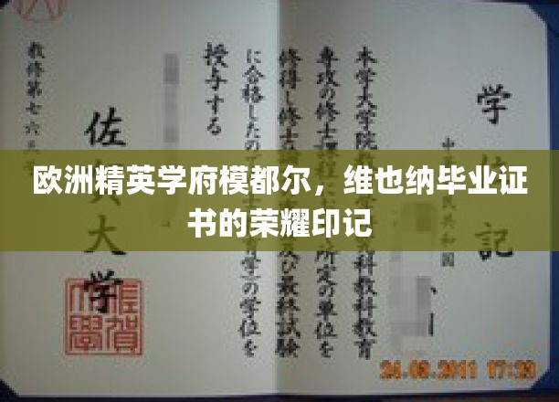 欧洲精英摇篮模都尔，维也纳毕业证书背后的荣耀传奇