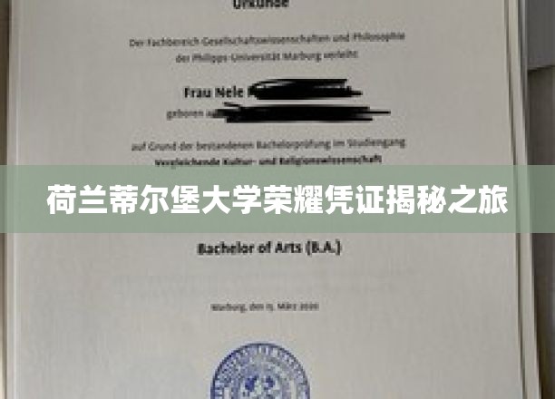 解锁荷兰蒂尔堡大学卓越荣誉背后的故事