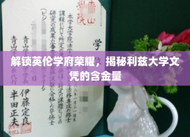 探寻利兹大学文凭背后的国际认可与卓越价值