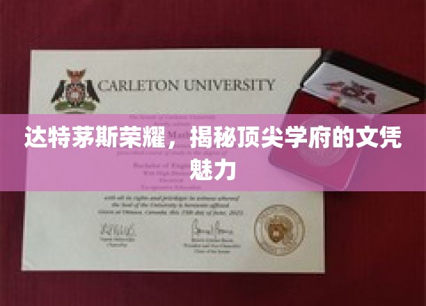 达特茅斯传奇，探寻精英学府文凭背后的非凡魅力