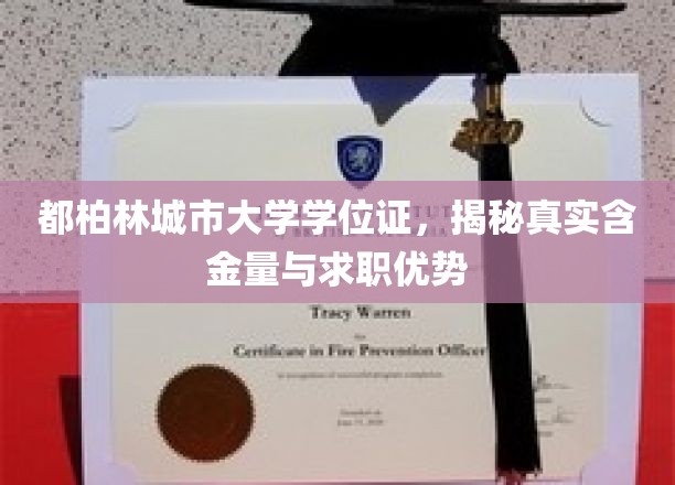 都柏林城市大学学位证，深度解析其价值与职场竞争力