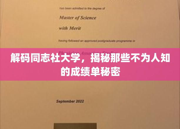 探寻同志社大学背后，揭秘隐藏的学术辉煌与成就