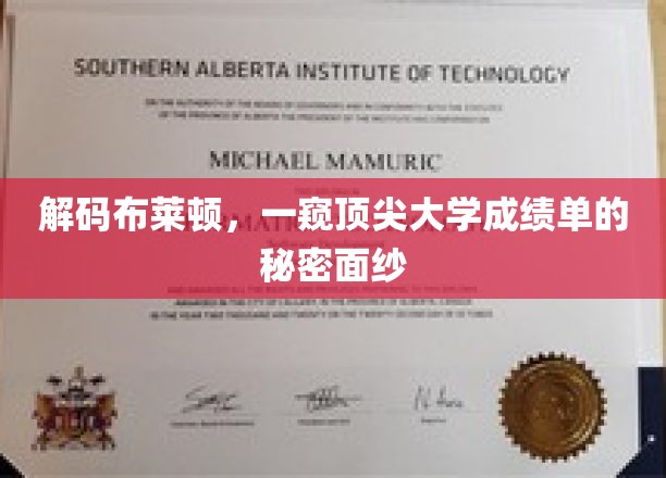 揭开布莱顿精英学府的学术密码，揭秘非凡成绩背后的真实故事