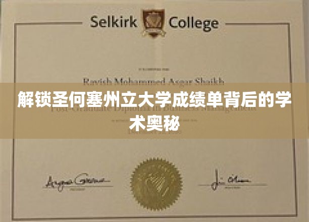 揭秘圣何塞州立大学成绩单背后的学术奥秘