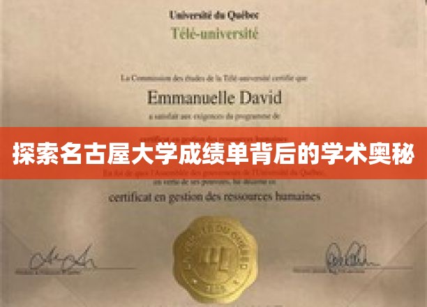 解码名古屋大学成绩单，揭秘学术成就的秘密通道