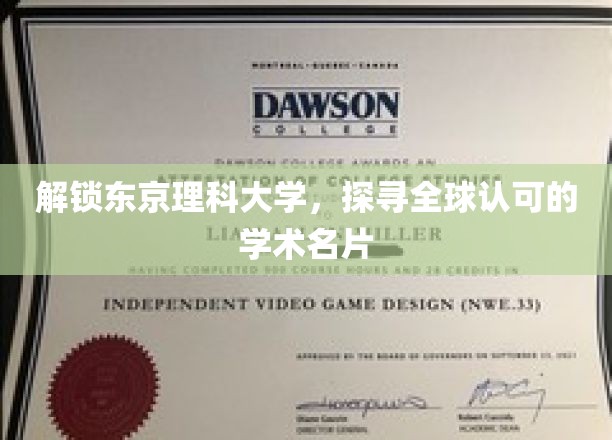 解码东京理科，揭秘世界级学府的学术魅力