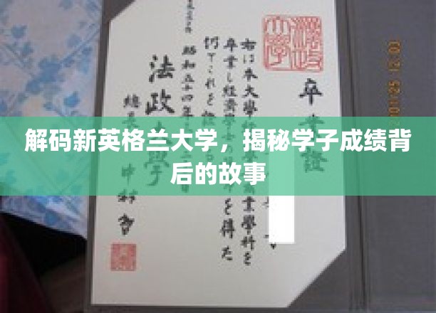 探寻新英格兰学子卓越成绩背后的传奇之路