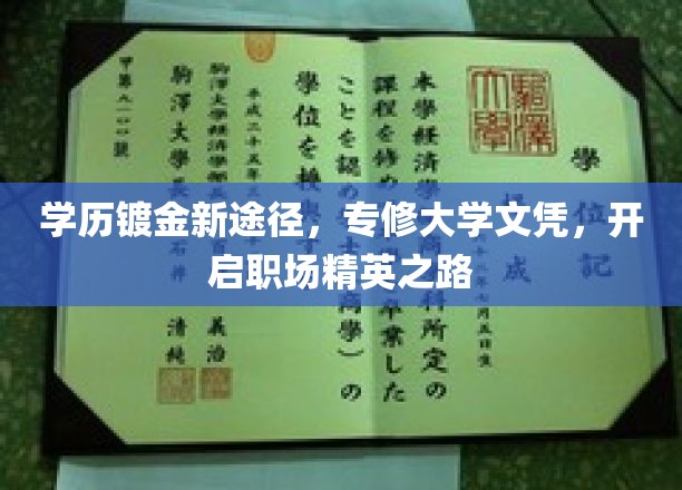 专修学历新风尚，一纸文凭助你职场飞跃