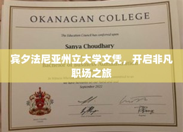 宾夕法尼亚州立大学文凭，开启非凡职场之旅