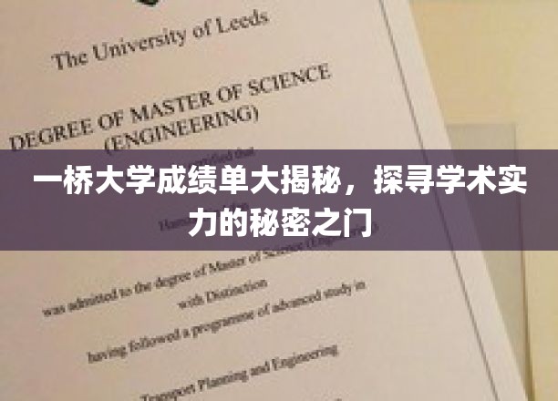 揭秘一桥大学，成绩单背后的学术实力密码