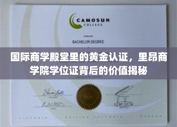国际商学殿堂里的黄金认证，里昂商学院学位证背后的价值揭秘