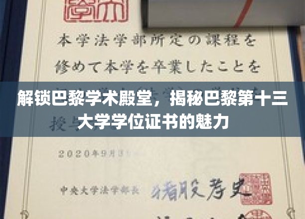 探寻巴黎十三大学，学位证书背后的学术之光