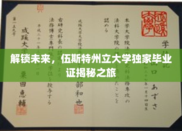 探索未知，伍斯特州立大学毕业生独家证书探秘之旅