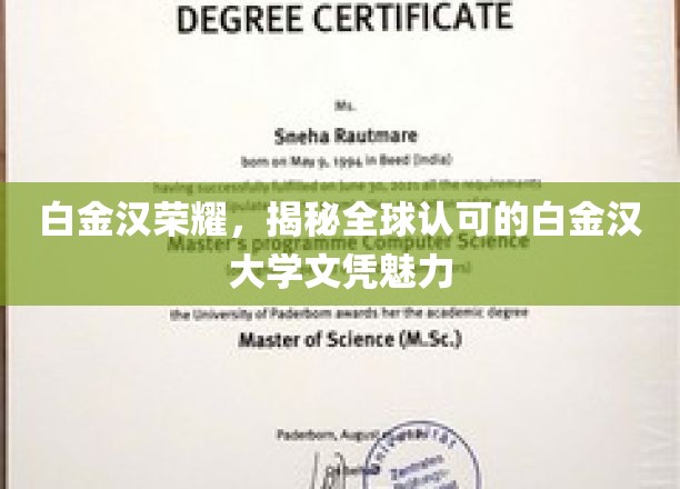 白金汉大学荣耀，全球认可的文凭魅力大揭秘