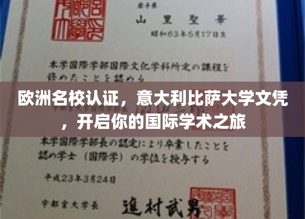 跨国学术通行证，比萨大学文凭，助力你踏上国际学术巅峰之旅