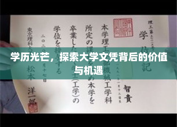 文凭新视界，揭秘大学学历的深层价值与无限可能
