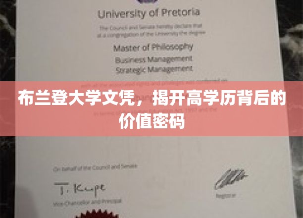 解码布兰登大学文凭，高学历的价值新篇章