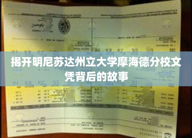解码明尼苏达州立大学摩海德分校学位背后的传奇历程