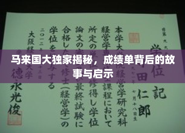 马来国大独家揭秘，成绩单背后的故事与启示