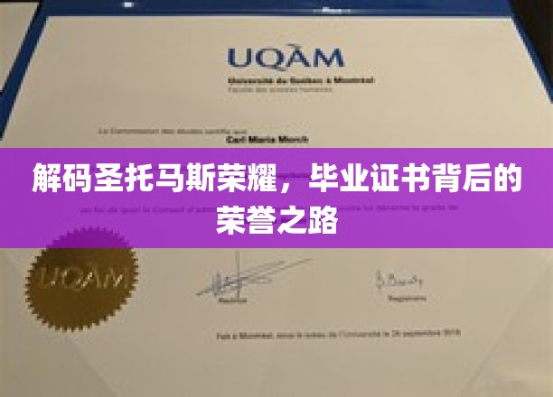 探寻圣托马斯荣耀，毕业证书背后的辉煌历程
