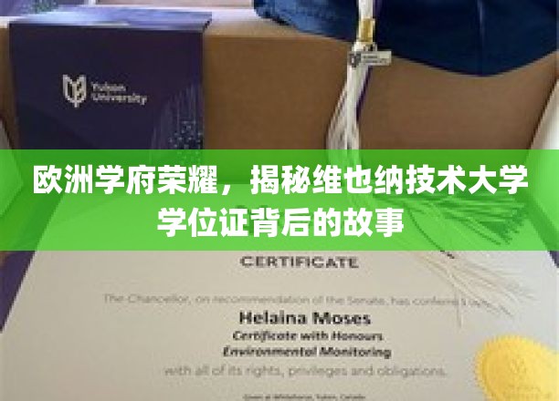 探寻维也纳技术大学荣耀背后，学位证的传奇之旅