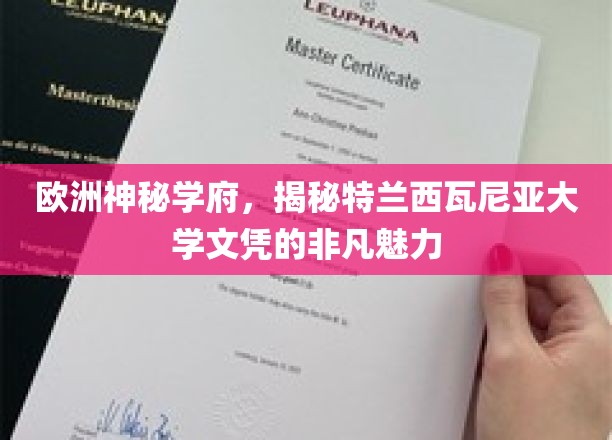 探寻特兰西瓦尼亚大学，欧洲神秘学府的璀璨文凭之谜