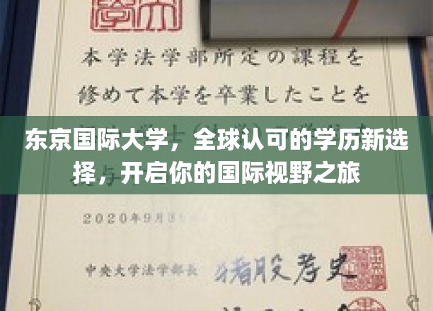 东京国际大学，全球认可的学历新选择，开启你的国际视野之旅