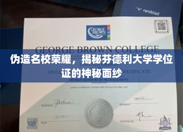 揭开芬德利大学学位证的神秘面纱：伪造名校荣耀背后的真相