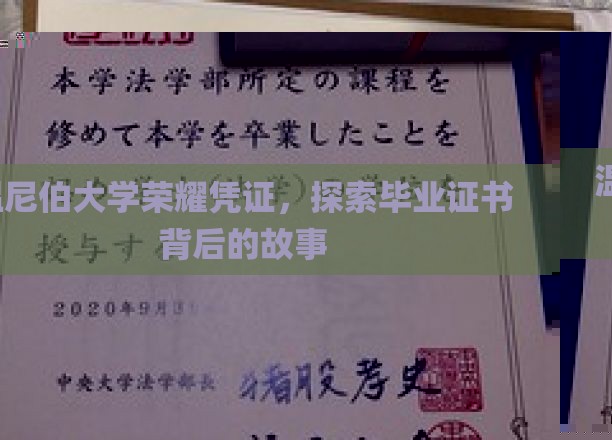 揭开温尼伯大学毕业证书的荣耀面纱，背后的传奇故事