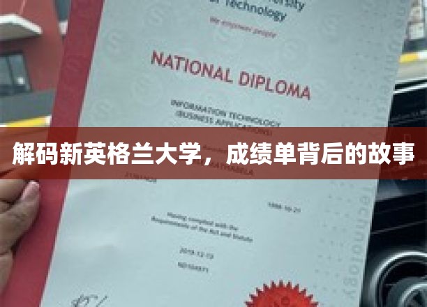 解码新英格兰大学，成绩单背后的故事