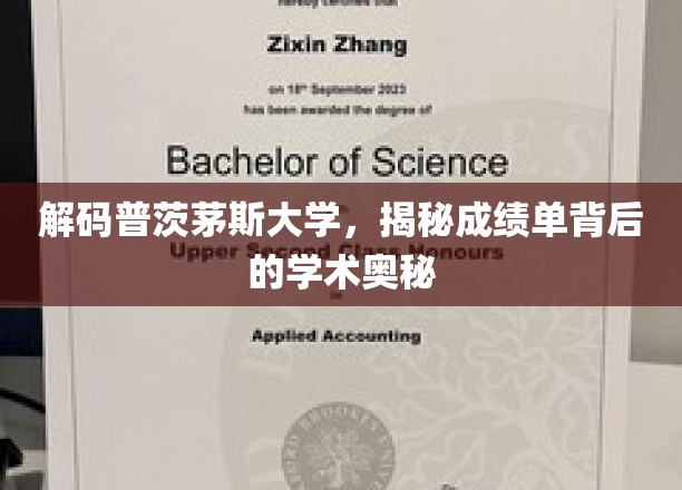 解锁普茨茅斯大学，一探成绩单背后的学术秘境