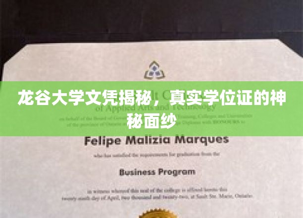 龙谷大学文凭揭秘，真实学位证的神秘面纱