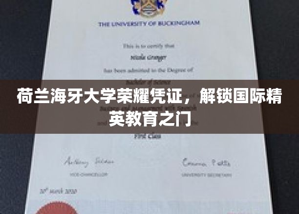 解锁荷兰海牙大学精英通行证，迈向国际教育巅峰之旅