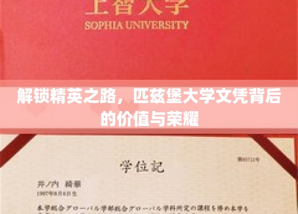 解锁精英之路，匹兹堡大学文凭背后的价值与荣耀