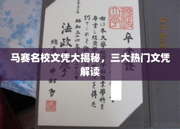 马赛名校文凭大揭秘，三大热门文凭解读